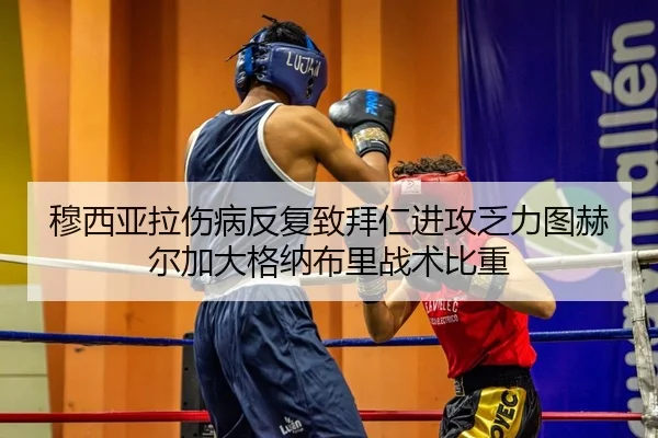 穆西亚拉伤病反复致拜仁进攻乏力图赫尔加大格纳布里战术比重